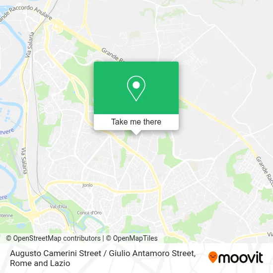 Augusto Camerini Street / Giulio Antamoro Street map
