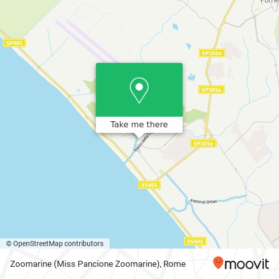 Zoomarine (Miss Pancione Zoomarine) map