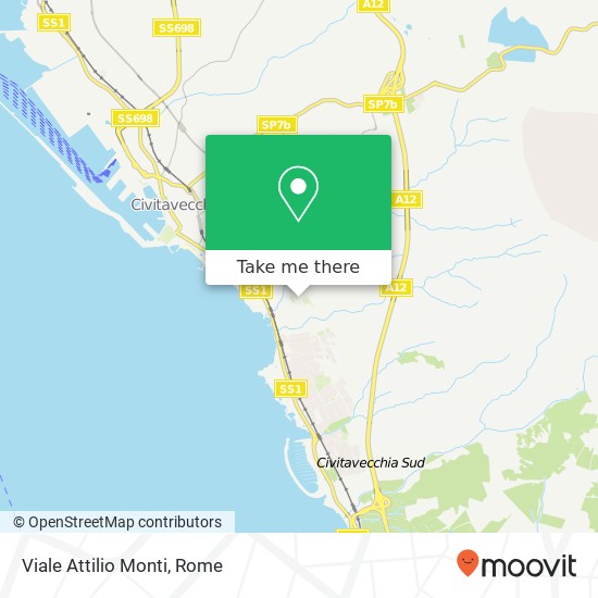 Viale Attilio Monti map