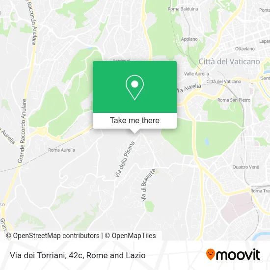 Torriani Street, 42c map