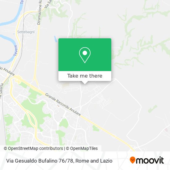 Via Gesualdo Bufalino 76/78 map