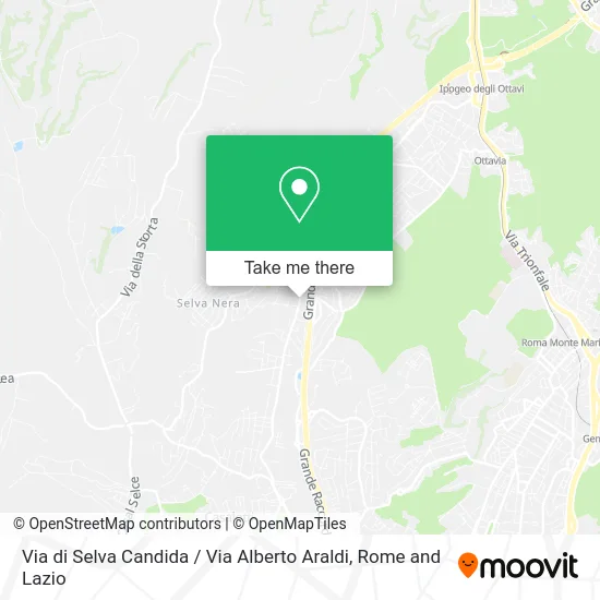 Selva Candida Street / Alberto Araldi Street map