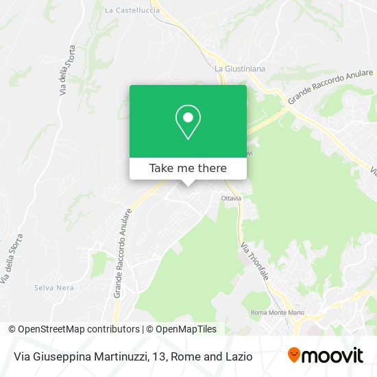 Via Giuseppina Martinuzzi, 13 map