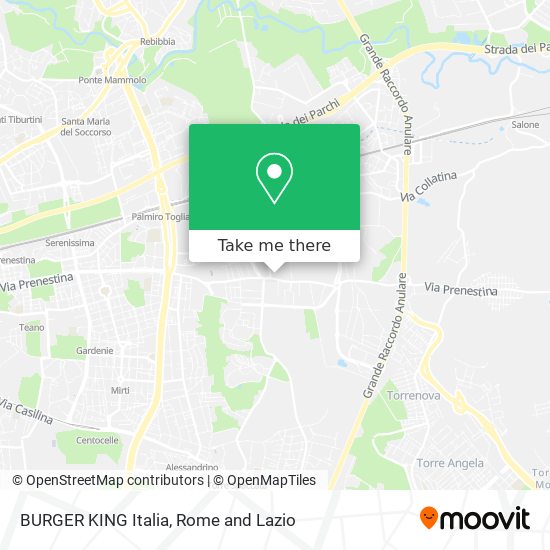 BURGER KING Italia map