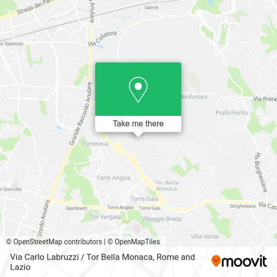 Carlo Labruzzi Street / Tor Bella Monaca map