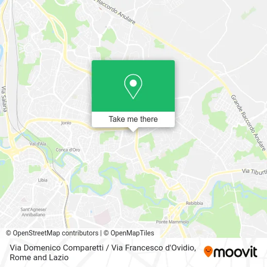 Domenico Comparetti Street / Francesco d'Ovidio Street map
