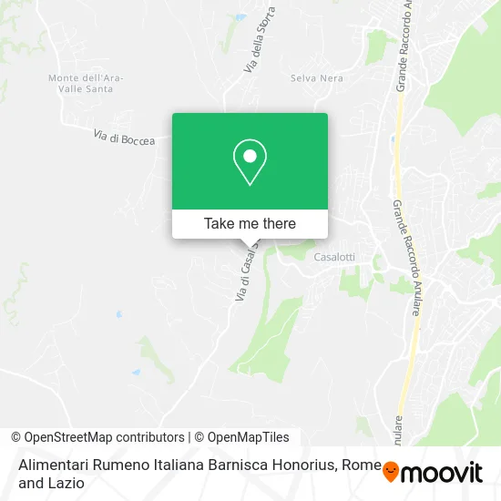 Romanian Italian Alimentari Barnisca Honorius map
