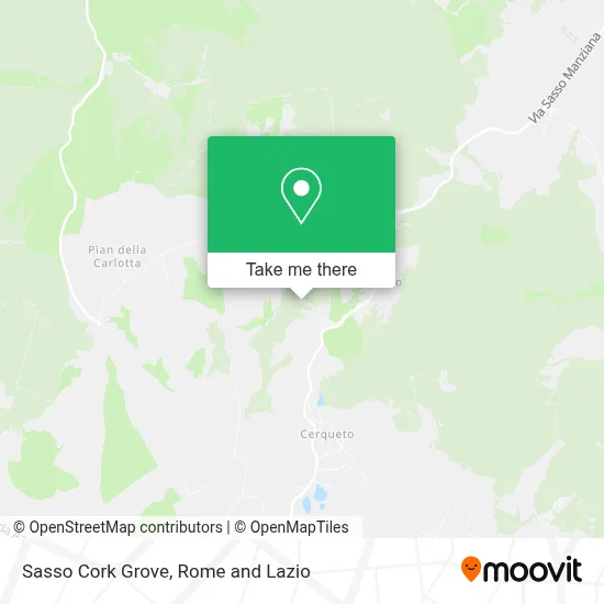 Sasso Cork Grove map