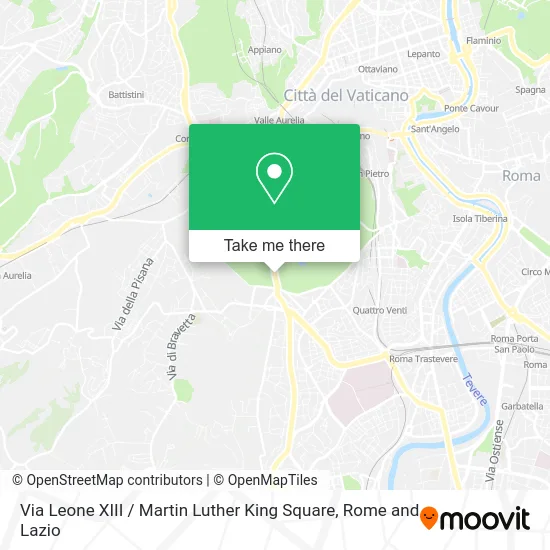 Via Leone XIII / Martin Luther King Square map