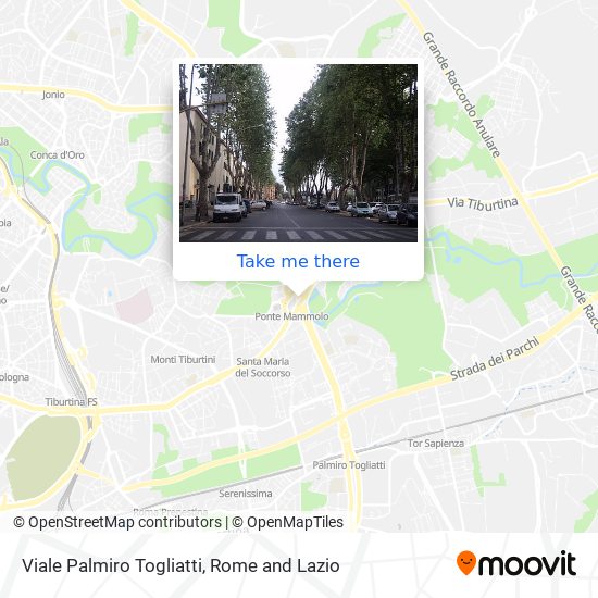 Viale Palmiro Togliatti map