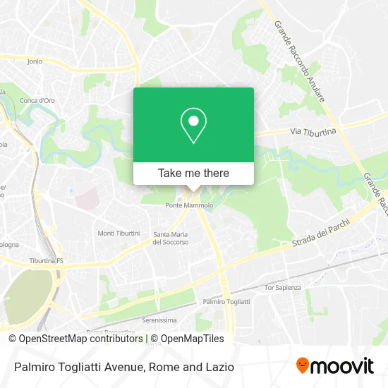Palmiro Togliatti Avenue map
