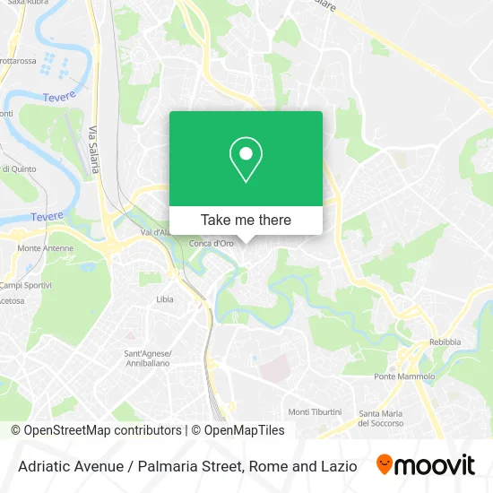 Adriatic Avenue / Palmaria Street map