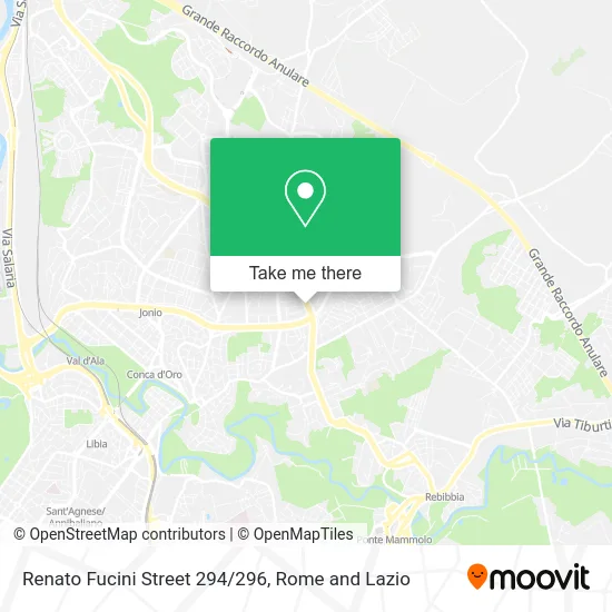 Renato Fucini Street 294/296 map
