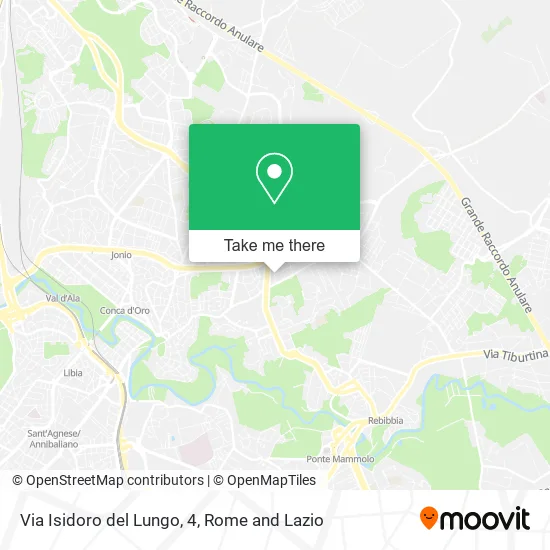 Isidoro del Lungo Street, 4 map