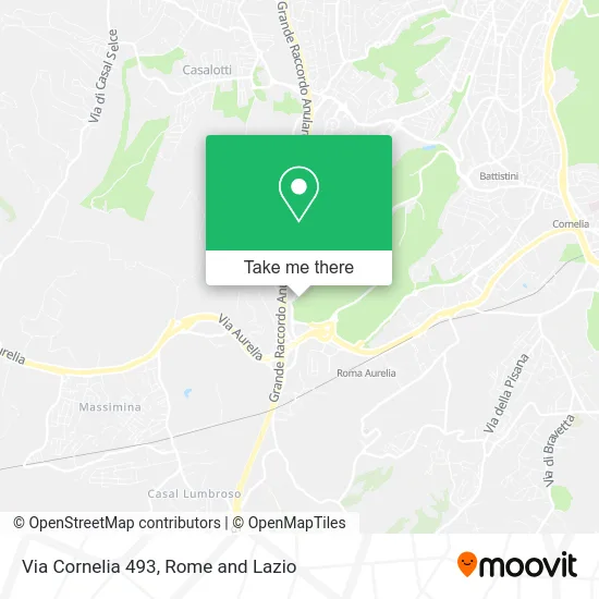 Cornelia Street 493 map