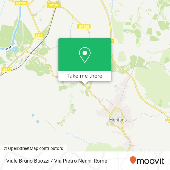 Viale Bruno Buozzi / Via Pietro Nenni map