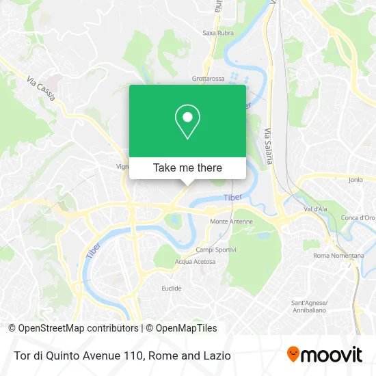 Tor di Quinto Avenue 110 map