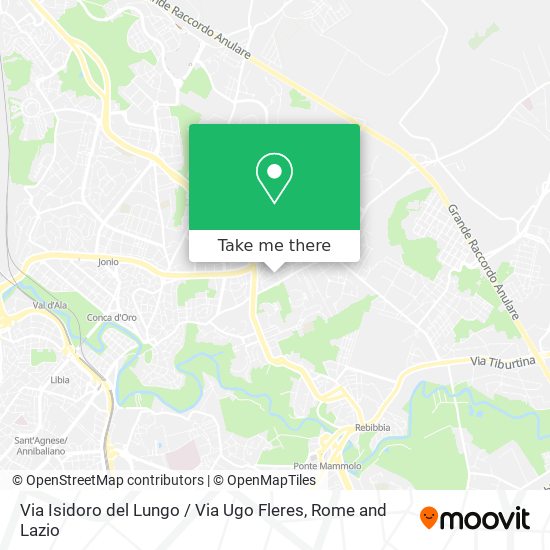 Via Isidoro del Lungo / Via Ugo Fleres map