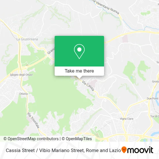 Cassia Street / Vibio Mariano Street map