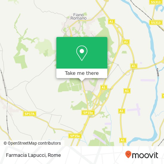 Farmacia Lapucci map