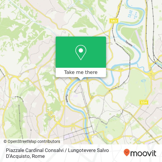 Piazzale Cardinal Consalvi / Lungotevere Salvo D'Acquisto map