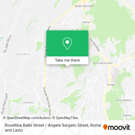 Rosellina Balbi Street / Angela Sorgato Street map