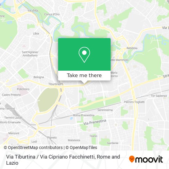 Via Tiburtina / Via Cipriano Facchinetti map