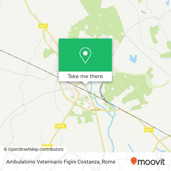 Ambulatorio Veterinario Figini Costanza map