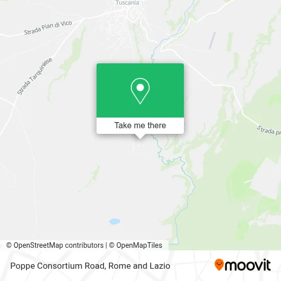 Poppe Consortium Road map