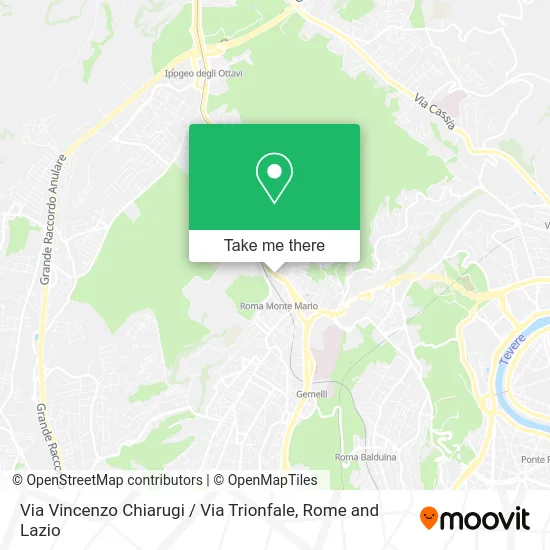 Via Vincenzo Chiarugi / Via Trionfale map