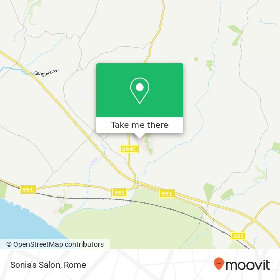 Sonia's Salon map