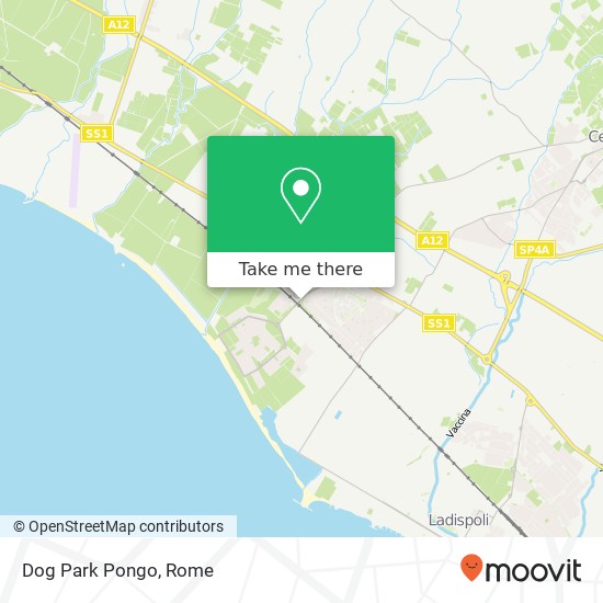 Dog Park Pongo map