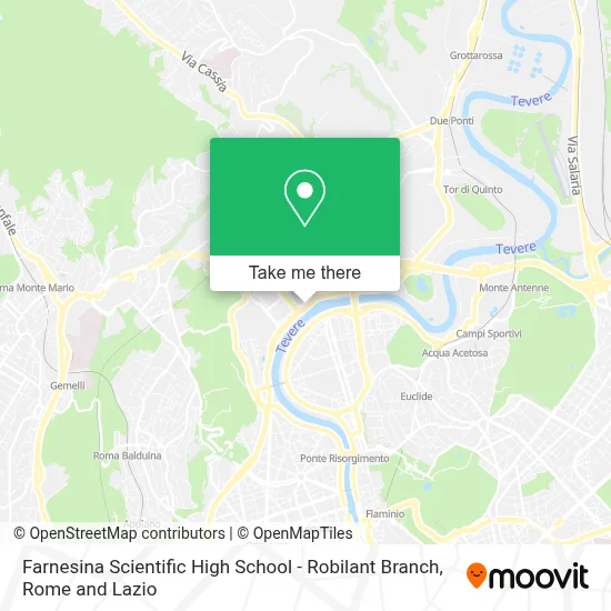 Farnesina Scientific High School - Robilant Branch map