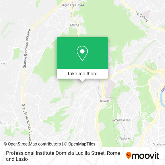 Professional Institute Domizia Lucilla Street map