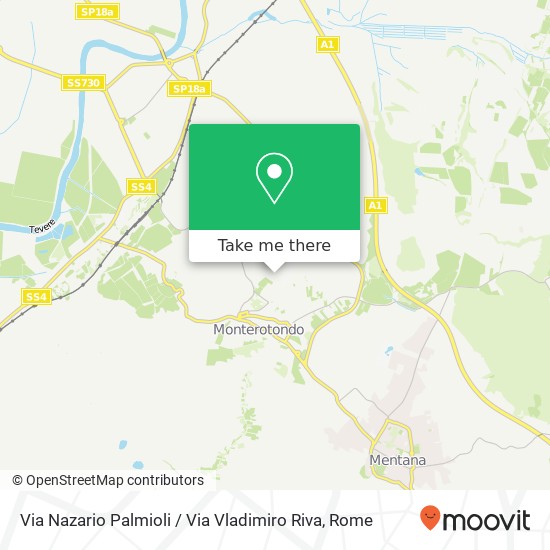 Via Nazario Palmioli / Via Vladimiro Riva map