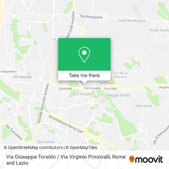 Via Giuseppe Toraldo / Via Virginio Prinzivalli map