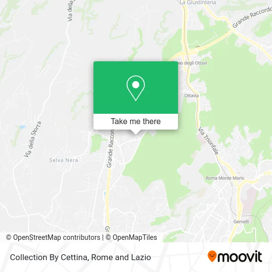 Collection by Cettina map