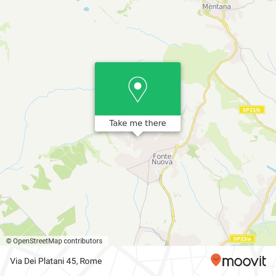 Via Dei Platani 45 map