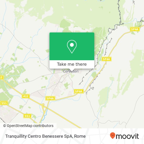 Tranquillity Centro Benessere SpA map