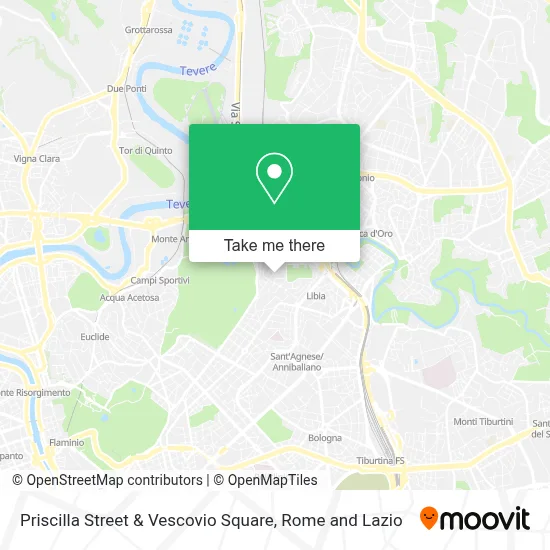 Priscilla Street & Vescovio Square map