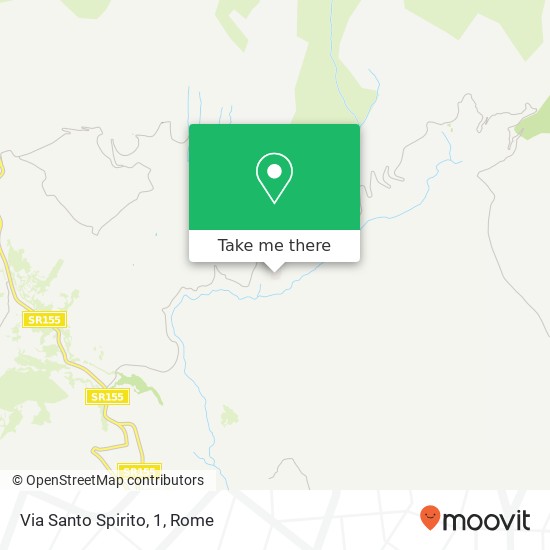 Via Santo Spirito, 1 map