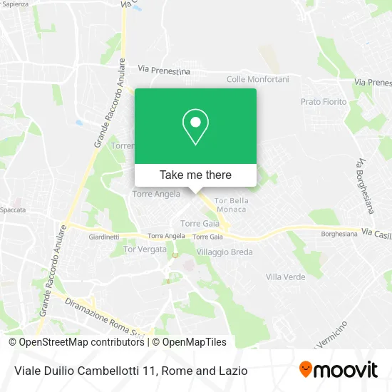 Viale Duilio Cambellotti  11 map
