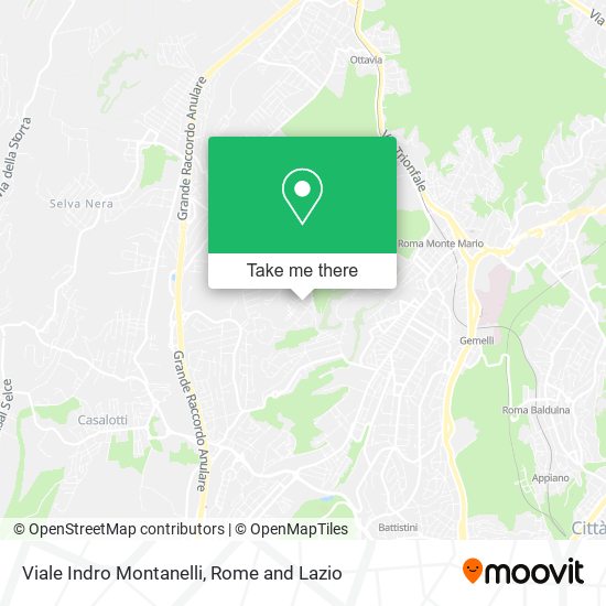 Viale Indro Montanelli map