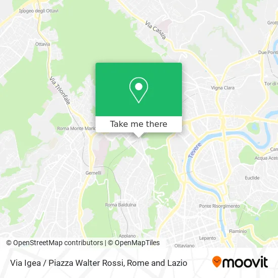 Igea Street / Walter Rossi Square map