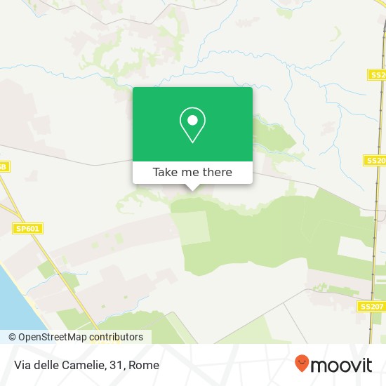 Via delle Camelie, 31 map