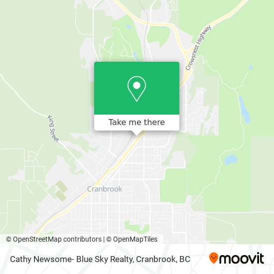 Cathy Newsome- Blue Sky Realty plan