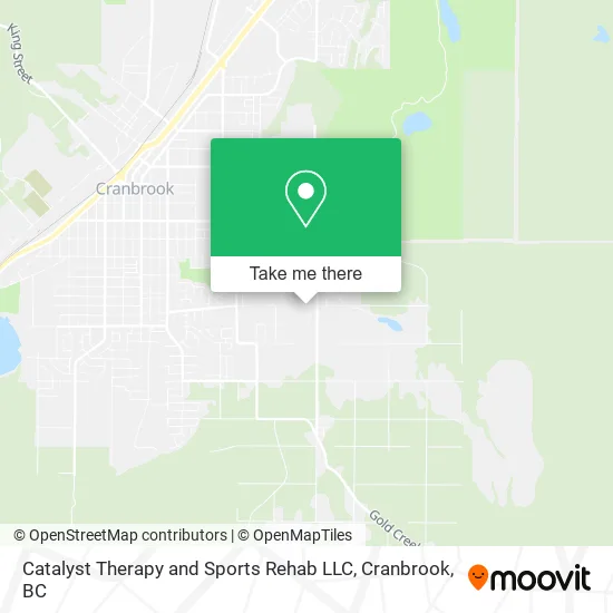 Catalyst Therapy and Sports Rehab LLC map