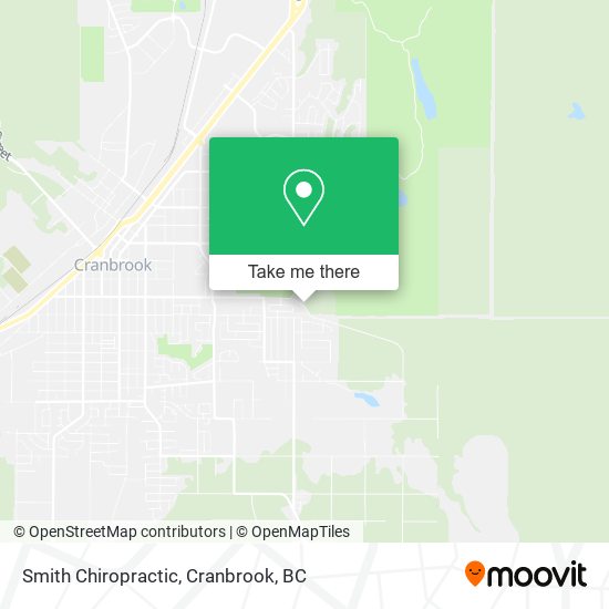 Smith Chiropractic map