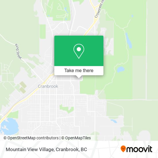 Mountain View Village plan