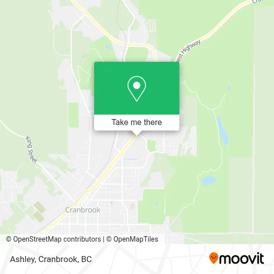 Ashley map